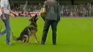 VA 2 Timo Berrekasten
