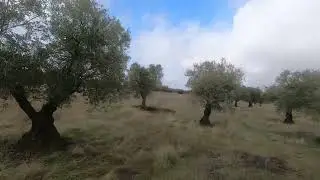 FPV 5'' camera test 1080p