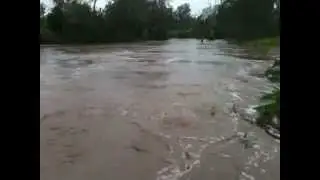 Lockyer Creek MEGA Flooding