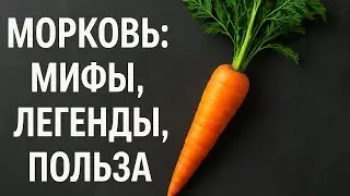Корнеплод легенд: удивительная история и сила моркови