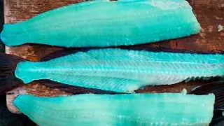 Catching a BLUE FISH and making Tacos (Spearfishing) #shorts
