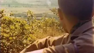36th Infantry Division in France, 1944