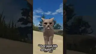 || Pov : Your the rabbit that blinded longtail || Wcue || Warrior cats ||