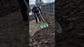 3 men in 1 shovel #digging #dig