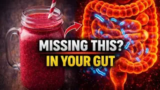 Eat This to Support the Gut Bacteria That Protects Your Immune System