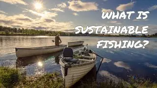 Exploring Sustainable Fishing: Preserving Lakes for Future Generations
