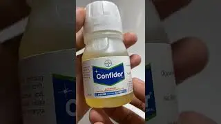 Andalan Petani Atasi Kutu dan Wereng 🤗🤗 CONFIDOR 200 SL, Minim Dosis Tapi Ampuh 🔥🔥🔥