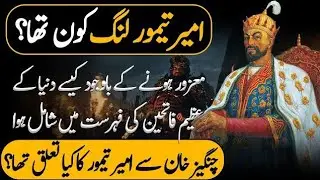 Who was Ameer Taimur in the History of Turks 