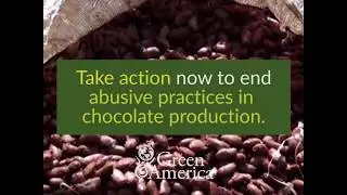 Take Action: Remove Child Labor from Cocoa Sourcing