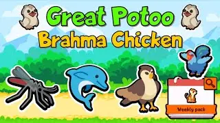The Brahma Chicken + Great Potoo META (New Weekly Pack) - Super Auto Pets