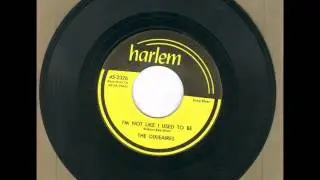 I'm Not Like I Used To Be - The Dixieaires 45