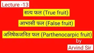 सत्य फल (True fruit) // आभासी फल(False fruit) // अनिषेकजनित फल (Parthenocarpic fruit) class -12th