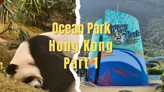 Dive into the adventure at Ocean Park Hong Kong Part 1! #hongkong #hongkongtravel #oceanpark