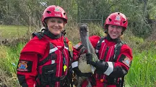 Escambia County Animal Search & Rescue Training