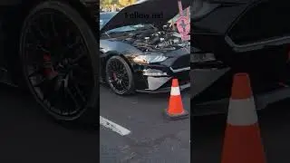 Ferrari vs Mclaren!  #showoff #video #follow #us #blogger #luxury #cars #show  #mclaren #ferrari