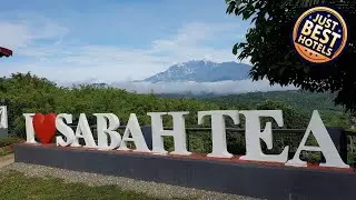 Sabah Tea Resort | Kinabalu National Park, Malaysia | Hotel Review 🏨