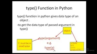 type () function in Python || Class 11 IP & CS CBSE