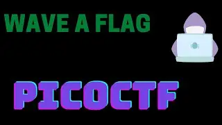 Wave a FLAG || PICOCTF{F14g_V41U3}