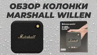 Обзор колонки Marshall Willen