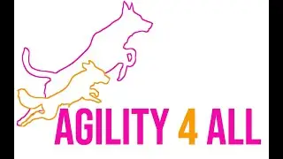 A4A Grand Finals Sunday
