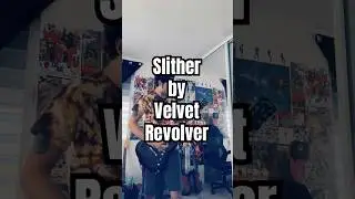 Slither by Velvet Revolver #slash #scottweiland #bosspedals #guitarist