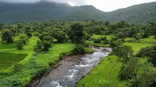 Lush Green Fields #green #nature #resort