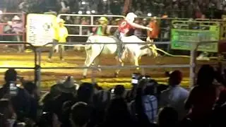 Toro 
