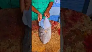 LEATHER JACKET FISH CHAPPAL FISH ഉടുപ്പുരി മീൻ #trending #viral #india #shorts #youtubeshorts #fish