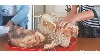 Difo Dabo  christmas 2022 simultion BREAD