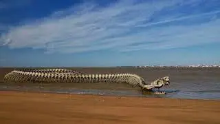 Serpent d&rsquo;Oc&eacute;an | A Massive Metal Sea Serpent Skeleton on a Beach in France