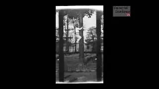 Soldier Descending a Tree (1895) Felix Regnault CHRONOPHOTOGRAPHY
