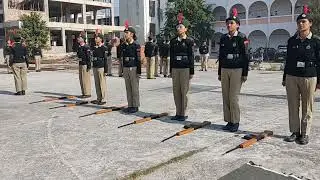 Preparation of NCC 