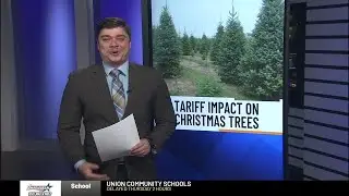 Real tree prices remain steady as local growers absorb costs