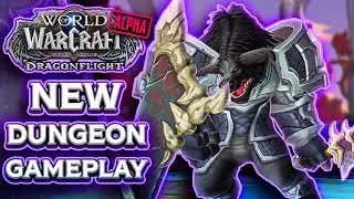 Ruby Life Pools - NEW Dungeon in Dragonflight - Prot Paladin Gameplay