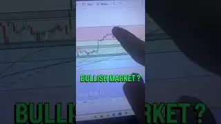 ARE BULLS BACK IN NIFTY? #emergingbulls #stockmarket #nifty #trading #technicalanalysis #priceaction