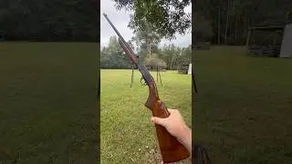 Norinco ATD .22 rifle