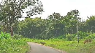 Honsur to Kutta via Nagarhole 