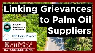 Linking human rights grievances to the palm oil supply chain | Data Science Clinic