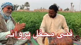 Saraiki funny song  by parwana @darwishkhan