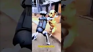 Dog Vs robot dog reaction #dogvsrobot #robotdogs #animalreaction #dogreacts #roboticdog