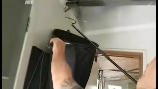 Tigersnake on top of door