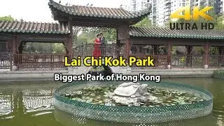 Visiting Beautiful Lai Chi Kok Park in Mei Foo in Hong Kong 4K UHD April 2017
