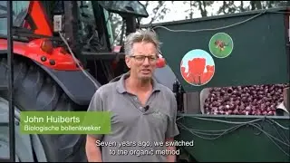 Flower production in the Netherlands
