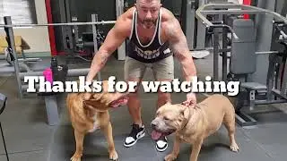 Bringing the dogs to the gym