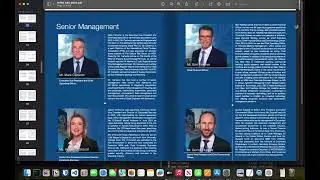 Using Google Gemini's Long Context Windows to analyze annual report PDFs