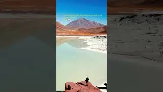 Laguna Piedras Rojas is an amazing red oasis in the Atacama Desert!Chile 🇨🇱 #atacama #travel