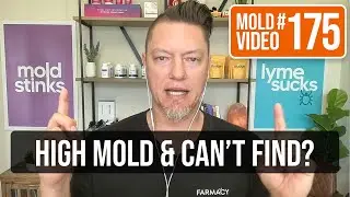 How to find mold in home when tests show high but we can&rsquo;t find it?
