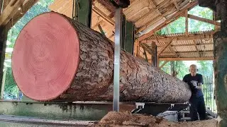 A highly sought-after wood!! Fine grain, straight wood, and a long, multi-purpose wood.