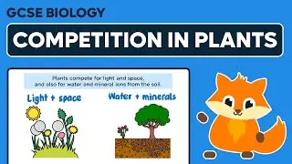 Competition in Plants - GCSE Biology