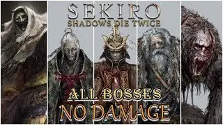 Sekiro vs All Bosses (sword only)